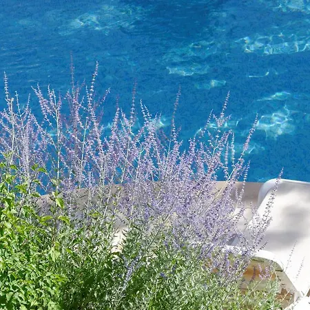 Les Hauts De Appartement Gréoux-les-Bains